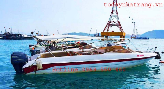 Cung cấp giá gốc Thuê tàu, cano Nha Trang