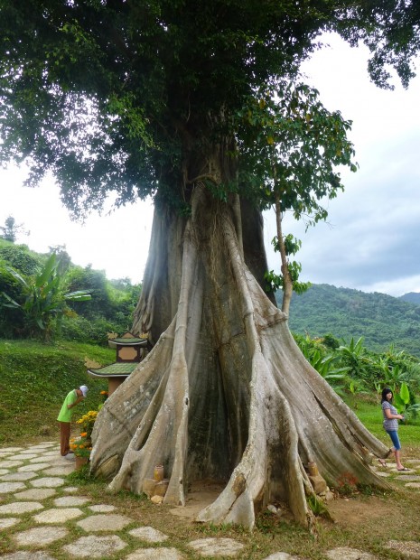 thac yangbay nha trang