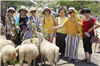 Tour Đồng Cừu Nha Trang