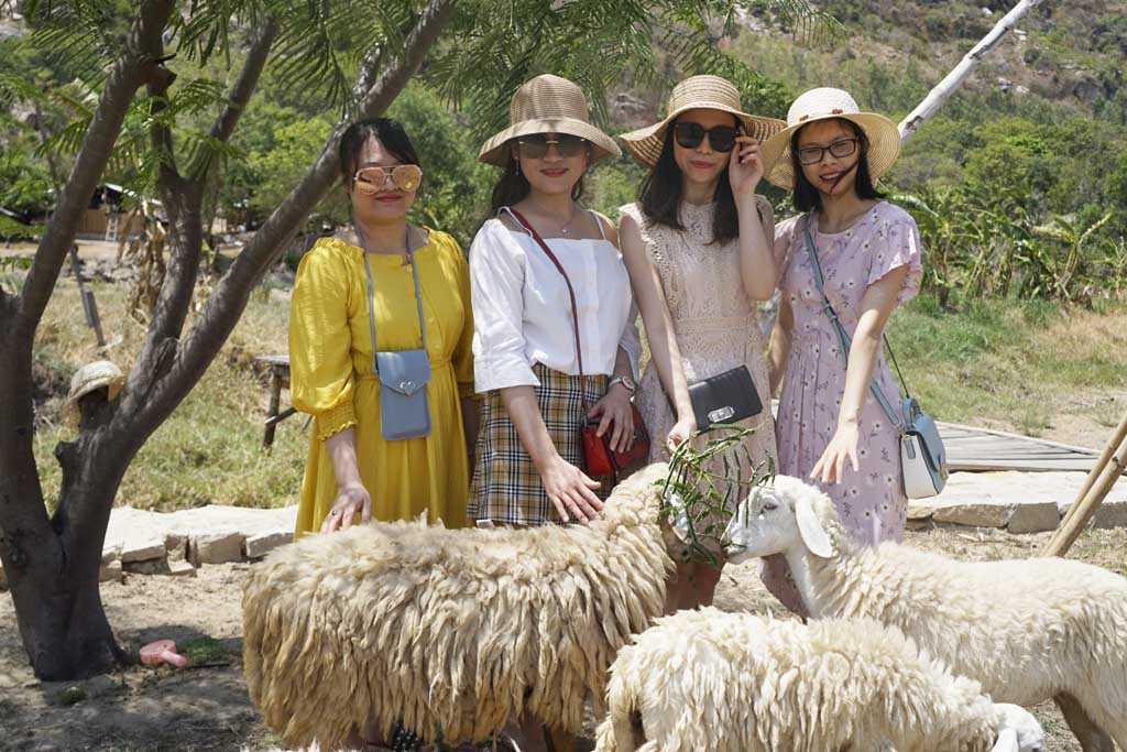 Du lịch nghỉ dưỡng: Tour Đồng Cừu - Bình Hưng - Vườn Nho - Hang Rái - Vĩnh Hy 95